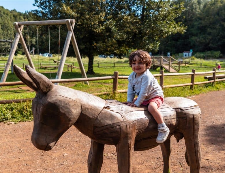 Conception des aires de jeux Trigano en bois pour jardins familiaux