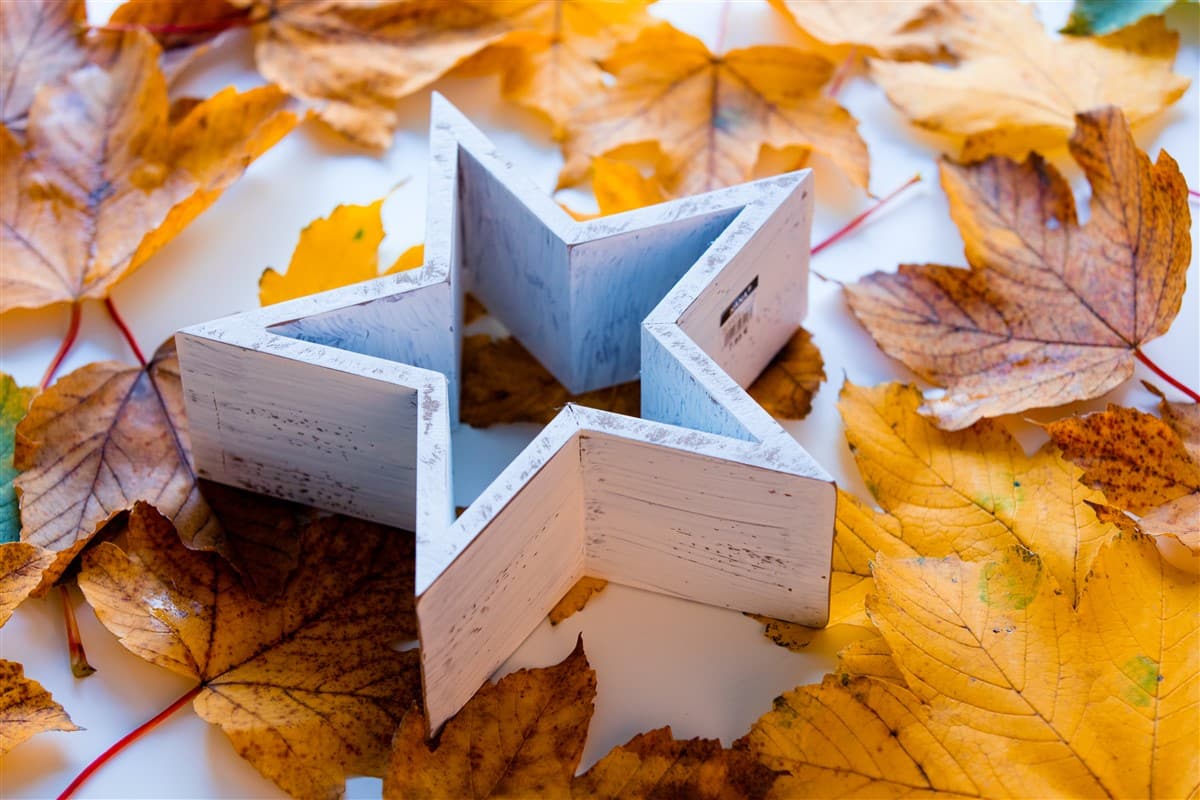 Créations avec des feuilles d'automne