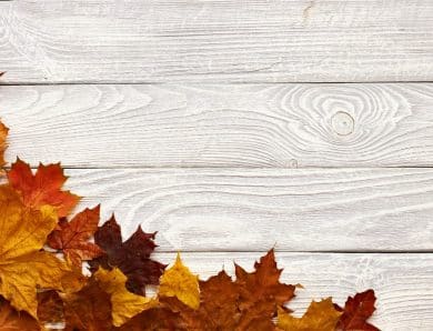 Créations avec des feuilles d’automne : idées déco DIY pour votre intérieur