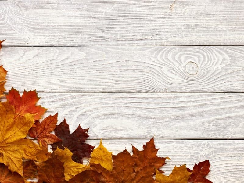 Créations avec des feuilles d’automne : idées déco DIY pour votre intérieur