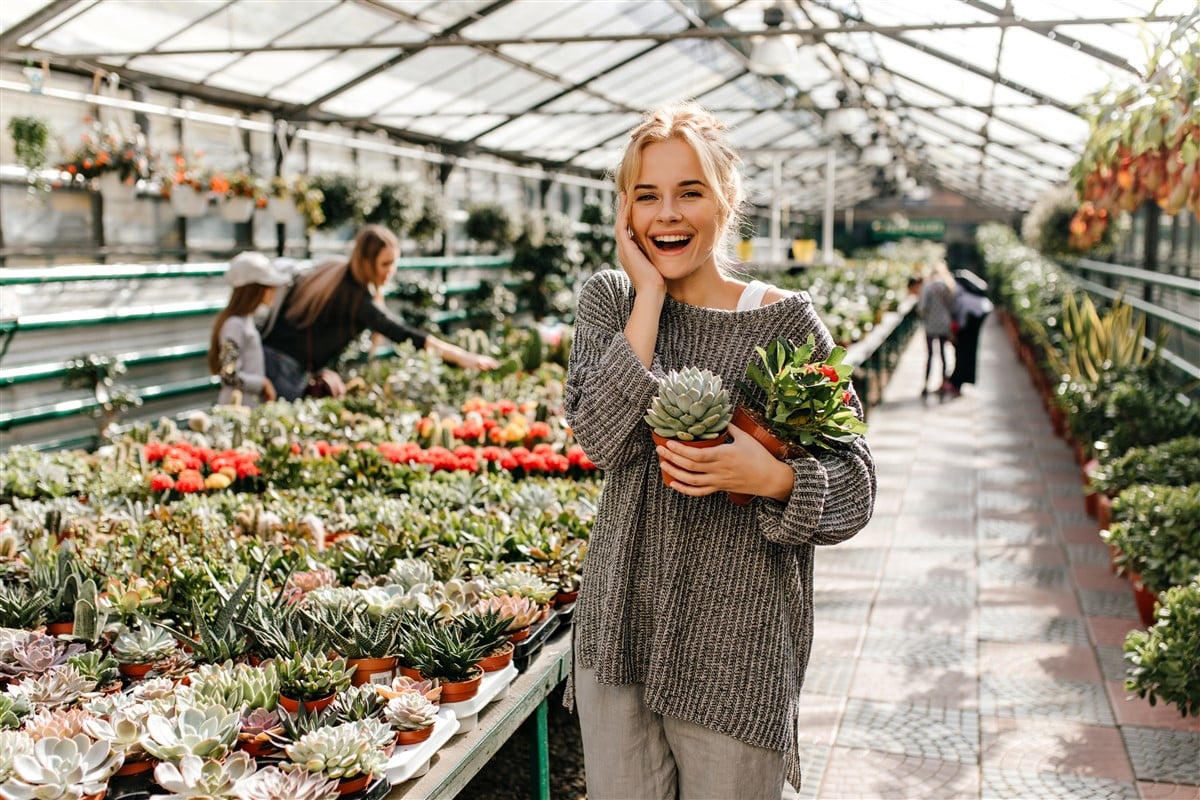 succulentes pour sublimer votre jardin