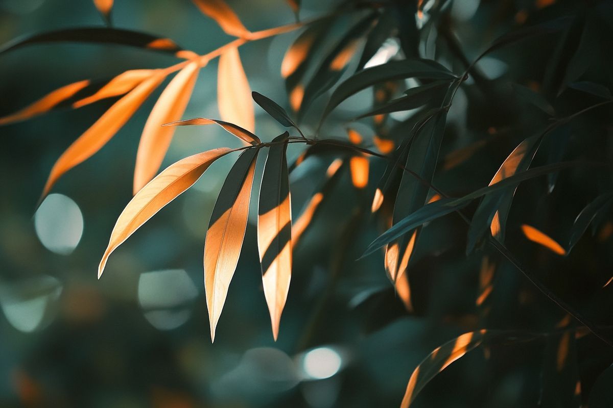 Pourquoi la couleur complémentaire du vert est essentielle dans la nature